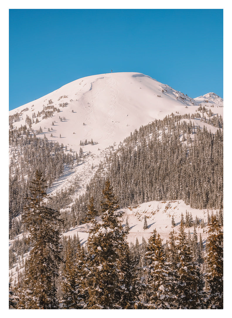 'How Did They Get Up There?'