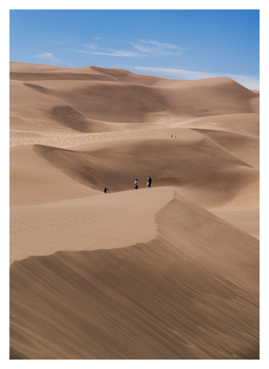 'The Dunes Are Busy'