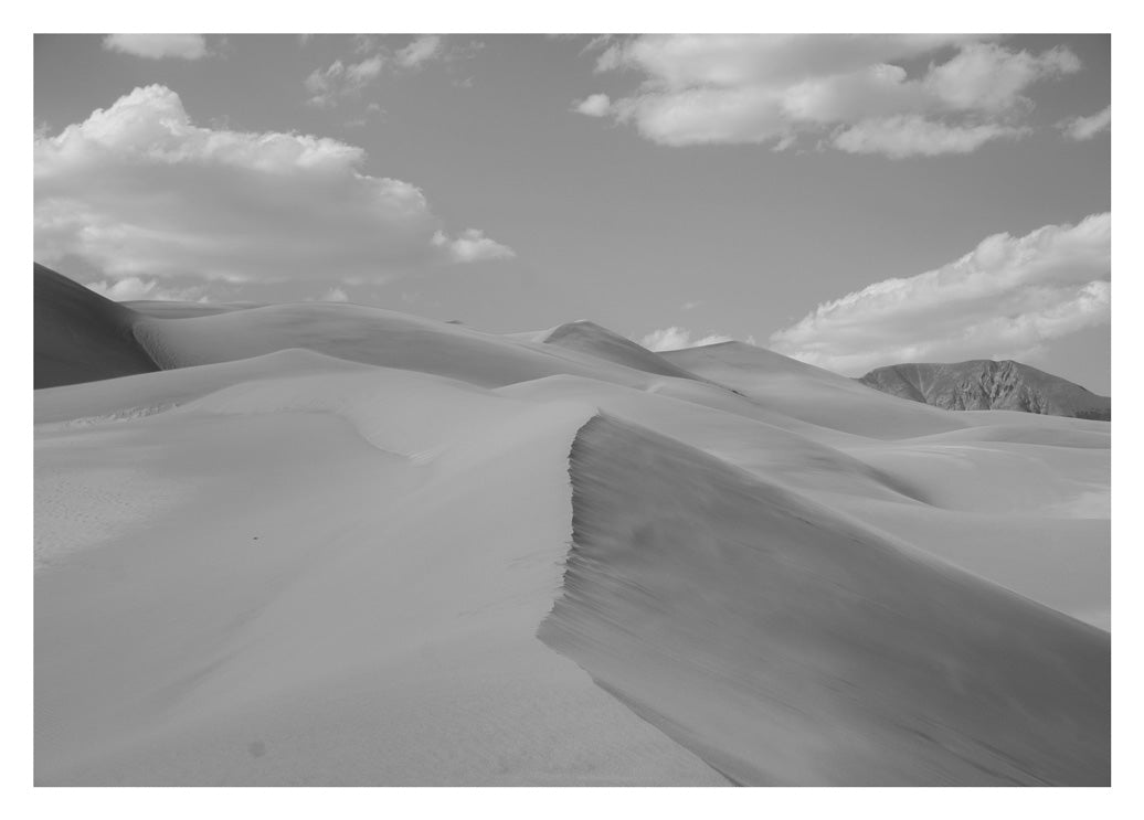'B&W Dunes'